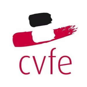 Collectif contre les violences familiales et l&rsquo;exclusion (CVFE)